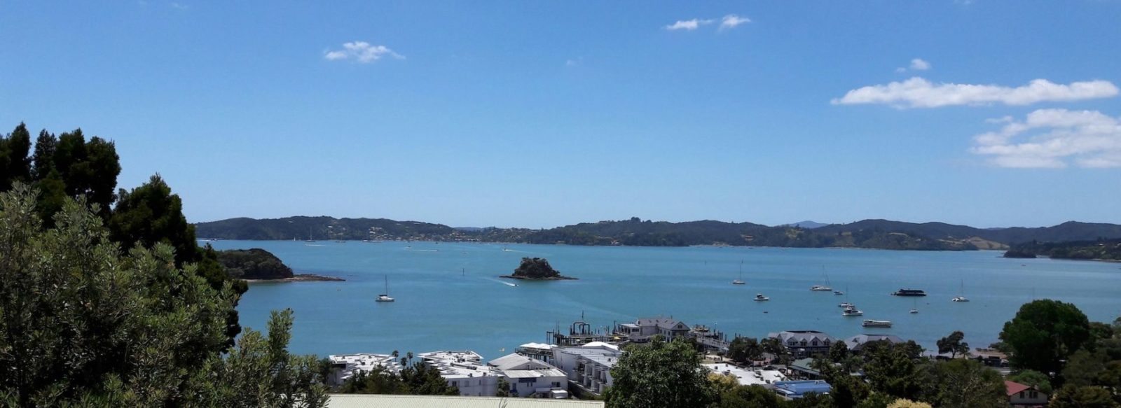 Top of the Bay, Paihia